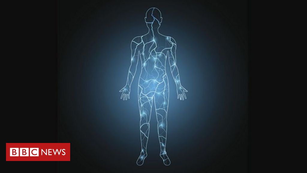 Câncer: o que é electroma, rede do corpo humano recém-descoberta que pode revolucionar tratamento