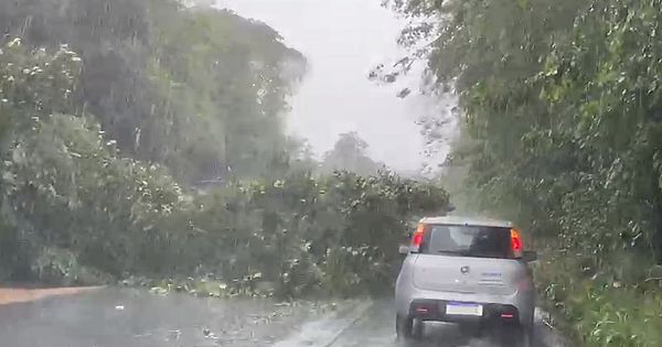 Rodovias federais são interditadas após problemas causados por chuva no interior de AL