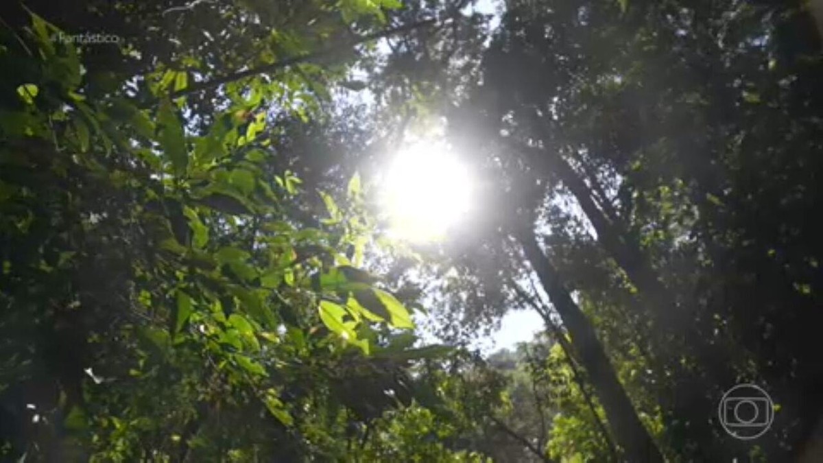 Na esteira do calor, ONS projeta recorde de demanda por energia elétrica em outubro