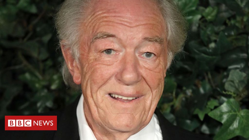 Harry Potter: Michael Gambon, o ‘Dumbledore’, morre aos 82 anos