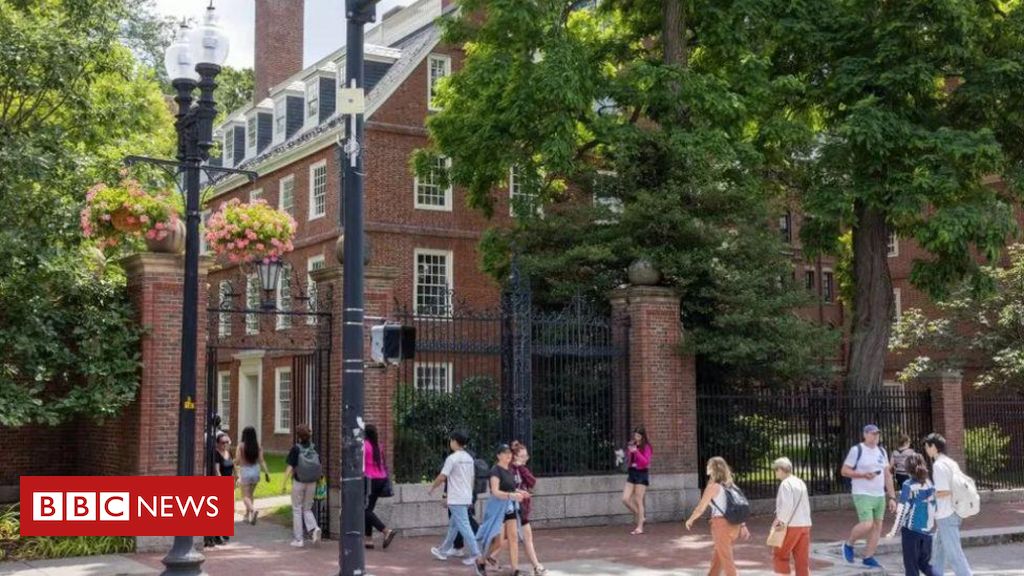 Conflito Israel-Hamas: a polêmica carta pró-Palestina de alunos de Harvard