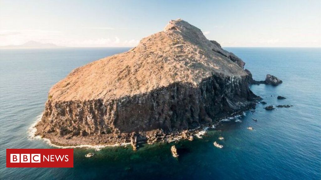 A ilha caribenha que era árida como a Lua e agora é exemplo de recuperação ambiental