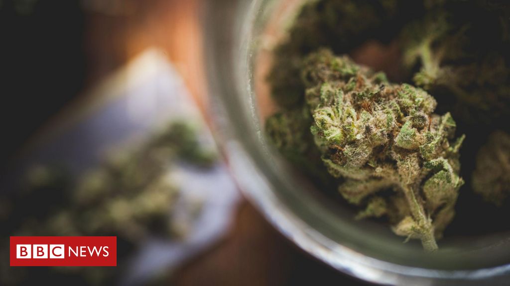 Maconha: PEC das Drogas que avança para Câmara pode neutralizar decisão do STF?