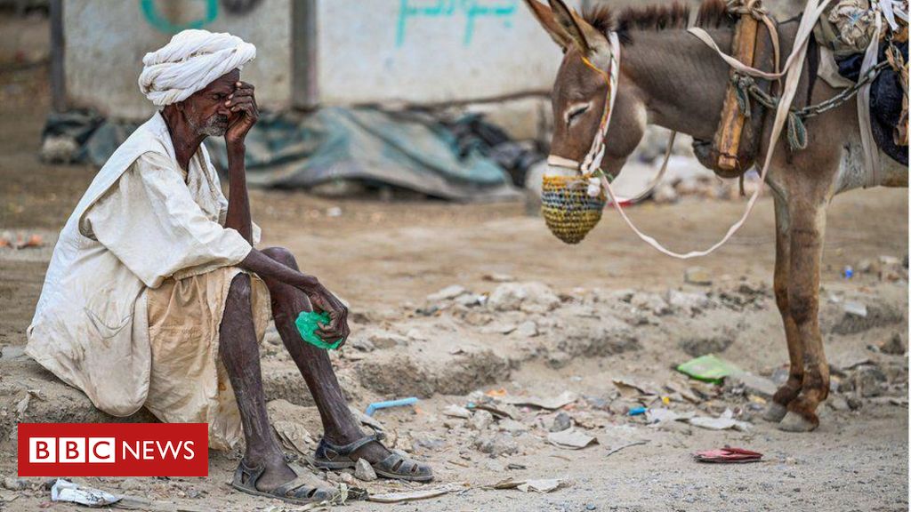 Sudão: o conflito esquecido que pode provocar maior crise alimentar do mundo