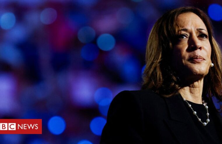 Eleições EUA 2024: a trajetória de Kamala Harris até a nomeação democrata